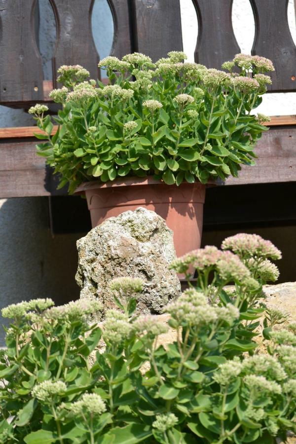 Appartement Residenz Bis 6 Gaeste , Bis 4 Gaeste, Elbflorenz Bis 2 Gaeste